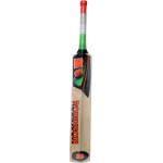 RS Robinson T-20 English Willow Cricket Bat (SH)